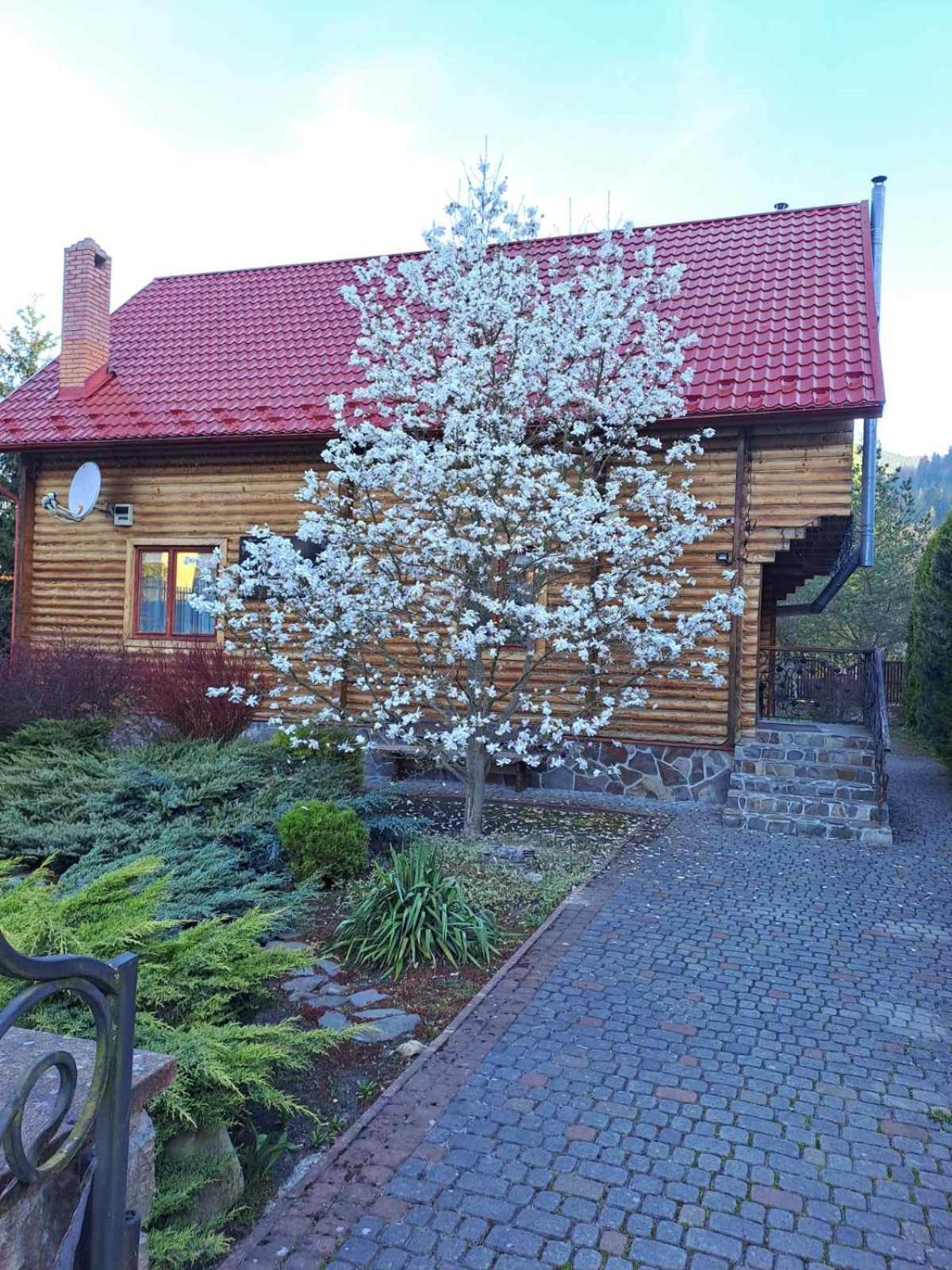 Magnolia Tatariv Exterior foto